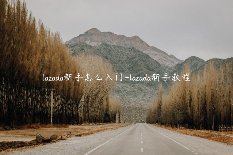 lazada新手怎么入門-lazada新手教程